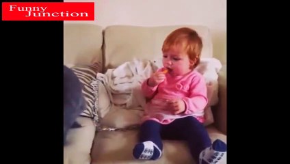 Best Of The 2021 Funny Animal Videos |   | Funny Cats Memes