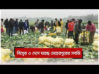 বিশ্বের ৩ দেশে যাচ্ছে মেহেরপুরের সবজি | Jagonews24.com