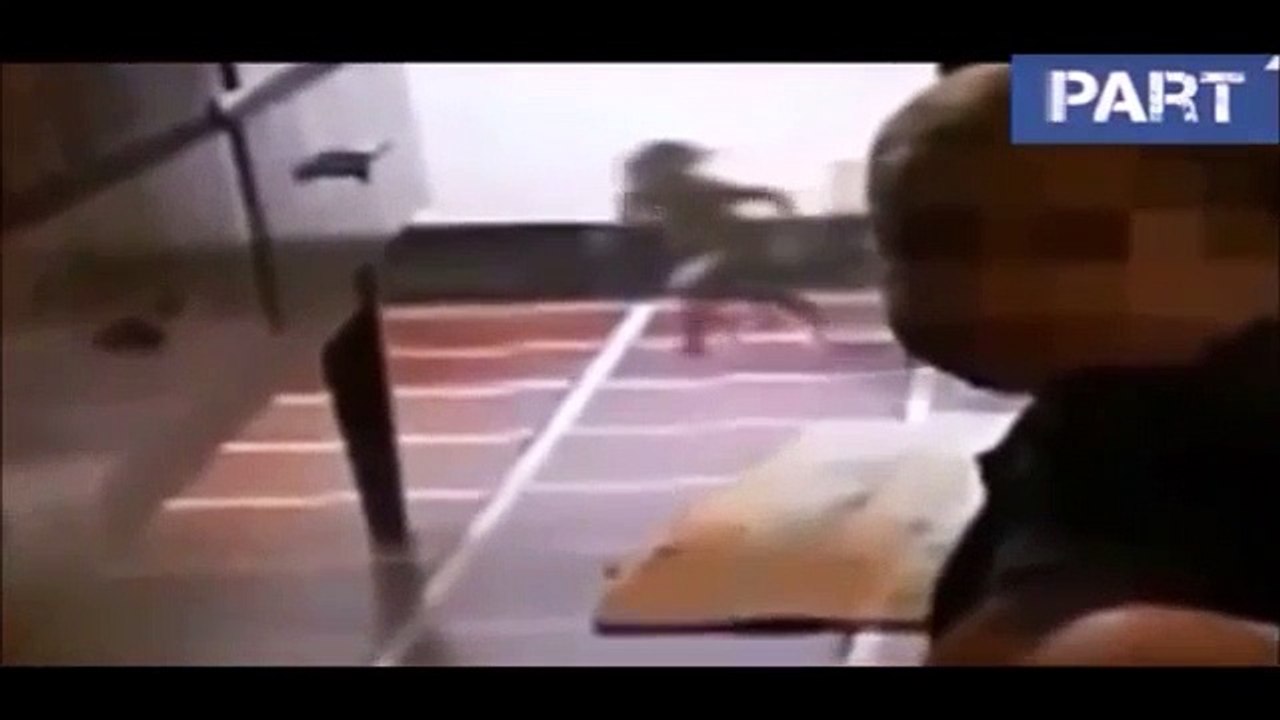 5 EXTRAÑAS CRIATURAS CAPTADAS EN VIDEO