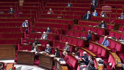 2ème séance : Lutte contre le dérèglement climatique (suite) - Vendredi 9 avril 2021