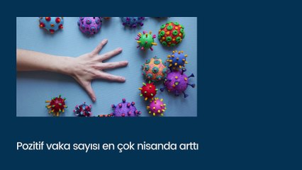 Kısa Dalga Bülten | Kripto dolandırıcılık