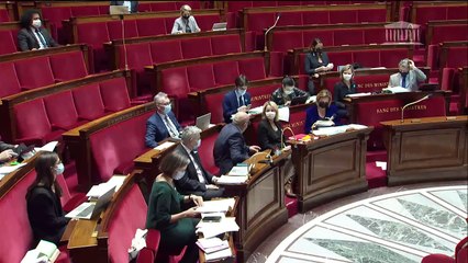 3ème séance : Lutte contre le dérèglement climatique (suite) - Vendredi 2 avril 2021