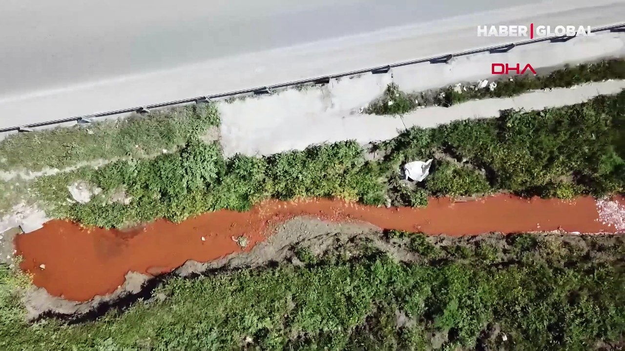 İstanbul'da bu kez 'turuncu dere' alarmı! Tarlalar arasından geçiyor, hayvanlar otluyor