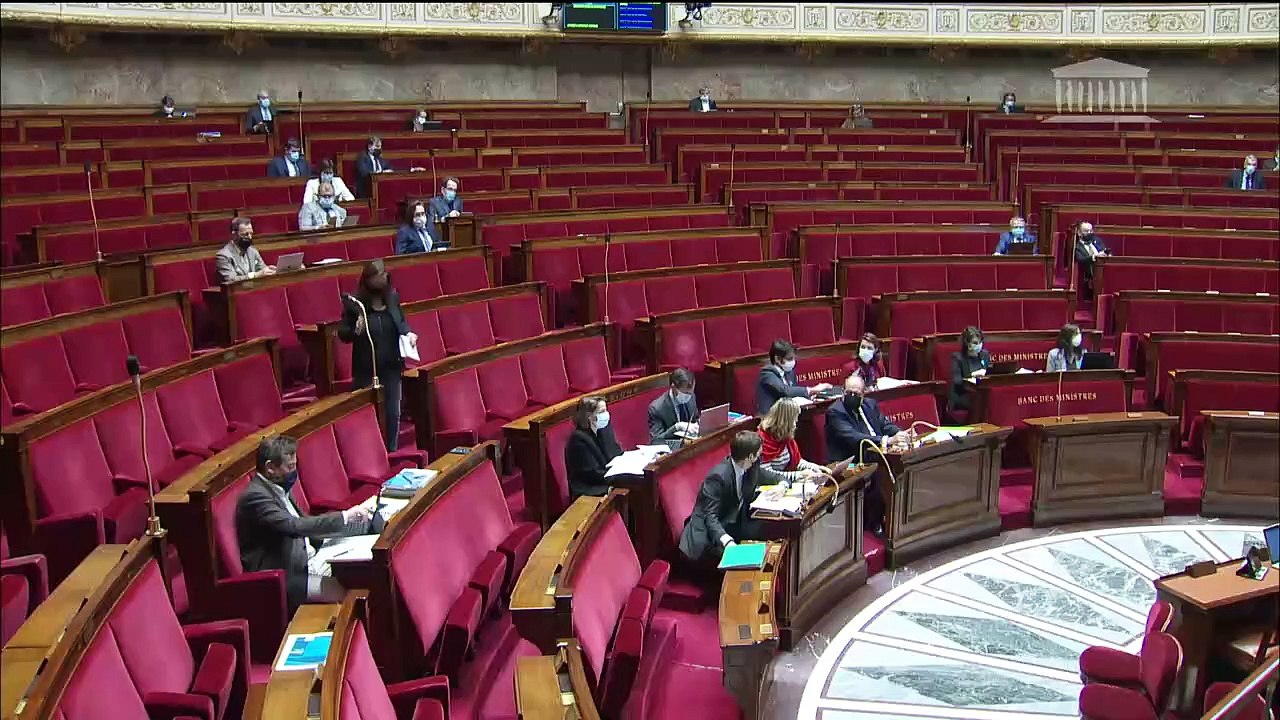 2ème séance : Article 1er de la Constitution et préservation de l’environnement (projet de loi constitutionnelle) (suite) - Jeudi 11 mars 2021