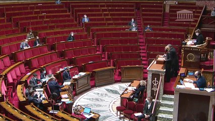 1ère séance : Protection des jeunes mineurs des crimes sexuels - Lundi 15 mars 2021