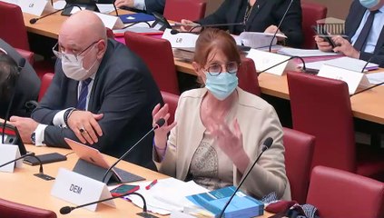 Dérèglement climatique et résilience : Lutte contre le dérèglement climatique et renforcement de la résilience face à ses effets (suite)  - Vendredi 12 mars 2021