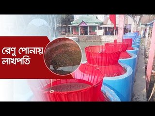 রেণু পোনায় লাখপতি | Jagonews24.com