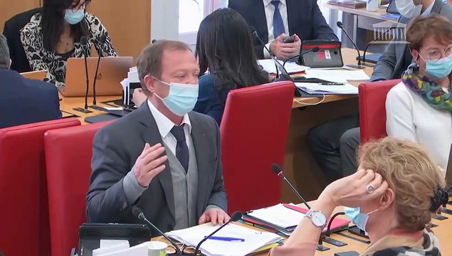 Commission des lois : Renforcer la protection des mineurs victimes de violences sexuelles (ppl) (suite) - Mercredi 10 février 2021