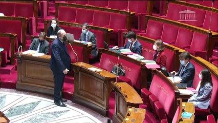 1ère séance : Article 1er de la Constitution et préservation de l’environnement (projet de loi constitutionnelle) (suite) - Jeudi 11 mars 2021