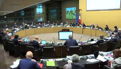 Commission des affaires étrangères : Développement solidaire et lutte contre les inégalités mondiales  - Mercredi 10 février 2021