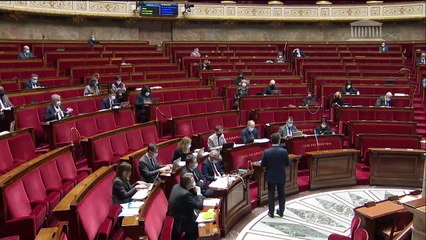 1ère séance : Respect des principes de la République (suite) - Lundi 8 février 2021