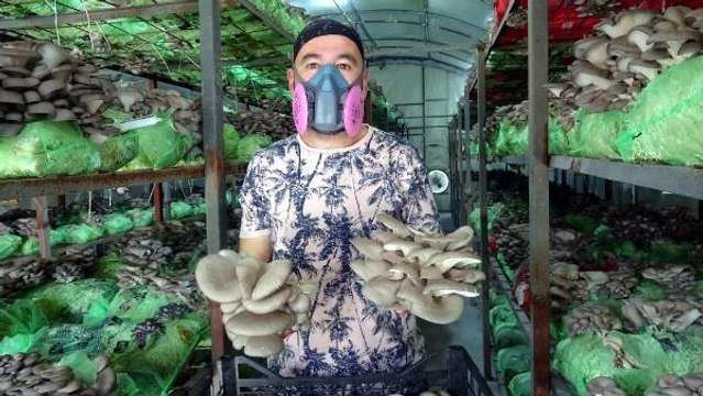 EMEKLİ ASTSUBAYIN HOBİ OLARAK BAŞLADIĞI MANTAR ÜRETİMİ, YENİ MESLEĞİ OLDU