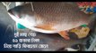 দুই মাছ বেচে ৫১ হাজার টাকা নিয়ে বাড়ি ফিরলেন জেলে | Jagonews24.com