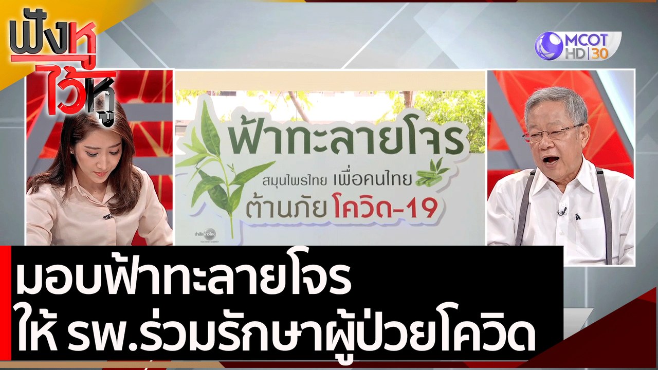 มอบฟ้าทะลายโจร ให้ รพ.ร่วมรักษาผู้ป่วยโควิด | ฟ...