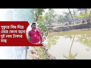 পুকুরে বিষ দিয়ে মেরে ফেলা হলো দুই লাখ টাকার মাছ | Jagonews24.com