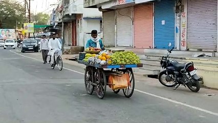 अंगूर, संतरा, पपीता और आम की खरीदी के प्रति लोगों का रूझान बढ़ा