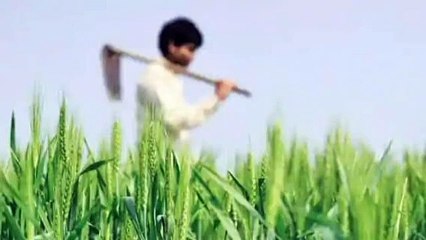 किसानों को उपज का दाम के 165 करोड़ रुपये का भुगतान किया