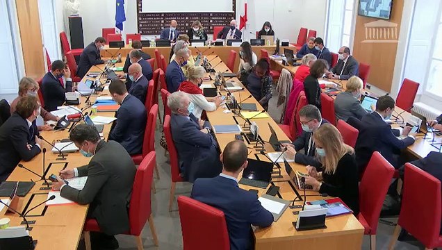 Commission des lois : Projet de loi relatif à la prorogation de chapitres du code de la sécurité ; Proposition de loi relative à la sécurité globale - Mercredi 4 novembre 2020