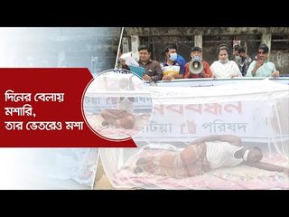 দিনের বেলায় মশারি, তার ভেতরেও মশা | Jagonews24.com