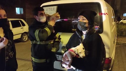 BOŞ DAİREYE BIRAKILAN KEDİ VE KÖPEĞİ İTFAİYE KURTARDI