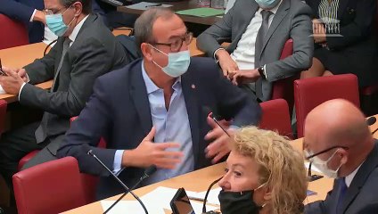 Commission des affaires économiques : Interdiction de pratiques génératrices de souffrances chez les animaux - Jeudi 1 octobre 2020