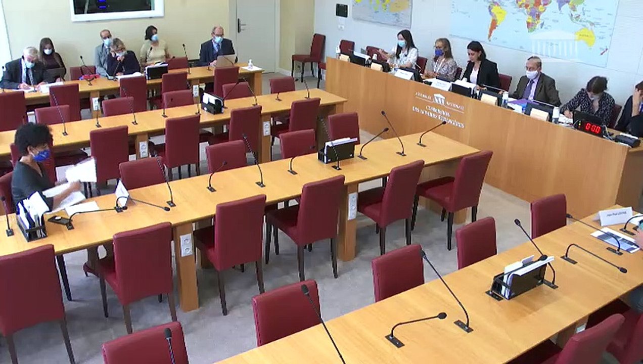 Commission des affaires étrangères : Restitution de biens culturels à la République du Bénin et à la République du Sénégal  - Mercredi 23 septembre 2020
