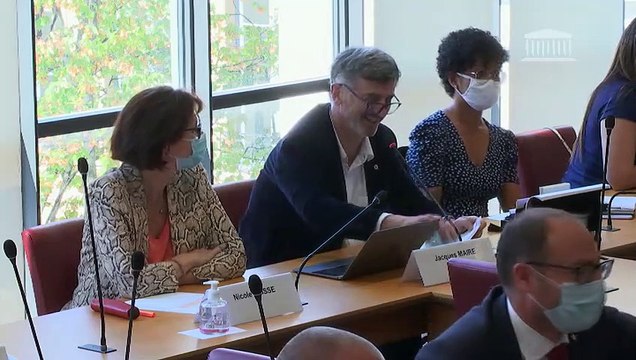 Commission des affaires étrangères : M. Franck Riester, ministre délégué auprès du ministre de l’Europe et des affaires étrangères, chargé du commerce extérieur et de l’attractivité - Mercredi 16 septembre 2020