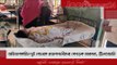 অভিভাবকহীন দুই বোনকে প্রভাবশালীদের বেধড়ক মারধর, শ্লীলতাহানি | Jagonews24.com