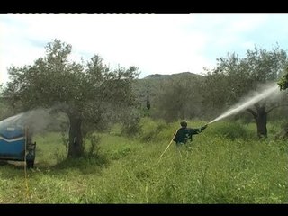 وزير الزراعة يسمح بدخول مواد مسرطنة  - نعيم برجاوي