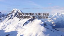 How Restricting Calories Causes the Metabolism to Slow Down