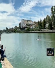 Una flamenca hace paddle surf por el Guadalquivir - Ampliffy...
