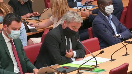 Commission des affaires économiques : Mme Emmanuelle Wargon, ministre - Mardi 21 juillet 2020