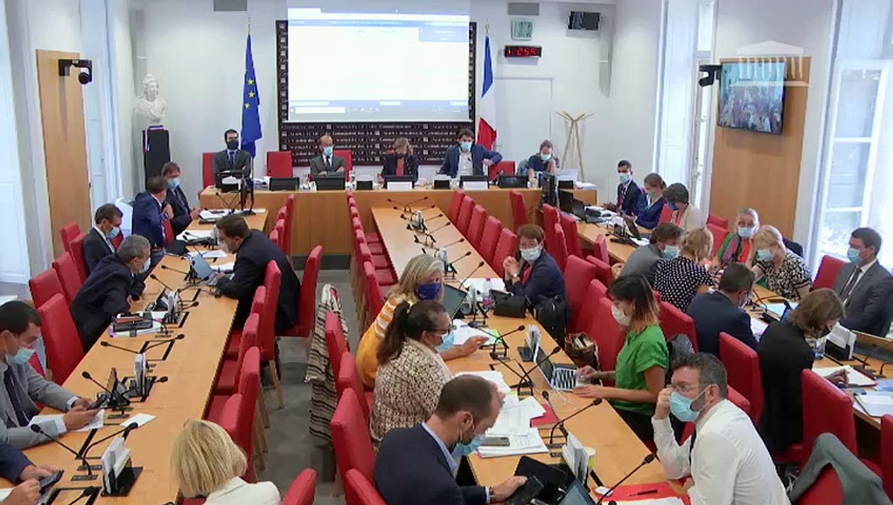 Commission des lois : Projet de loi organique relatif au Conseil économique, social et environnemental  - Mercredi 9 septembre 2020