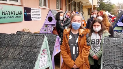 Başkentli çocuklardan sokak hayvanları için örnek çalışma