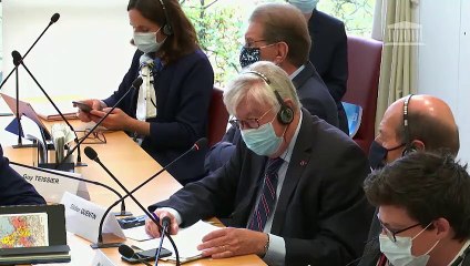 Commission des affaires étrangères : Mme Svetlana Tikhanovskaïa, ancienne candidate à la présidence de la République de Biélorussie - Mercredi 7 octobre 2020