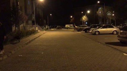 Son dakika haberleri: Boş dairede kapalı kalan kedi ve köpeği itfaiye kurtardı