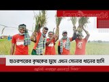 হাওরপারের কৃষকের মুখে এখন সোনার ধানের হাসি | Jagonews24.com