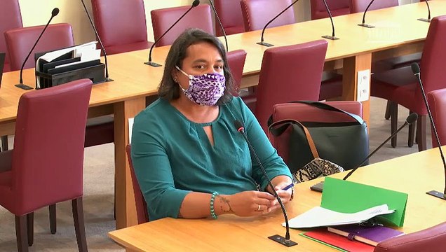 Emergence et évolution des différentes formes de racisme : M. Michel Tubiana (Ligue des droits de l’Homme) et M. Mario Stasi (Ligue internationale contre le racisme et l'antisémitisme) - Mardi 15 septembre 2020