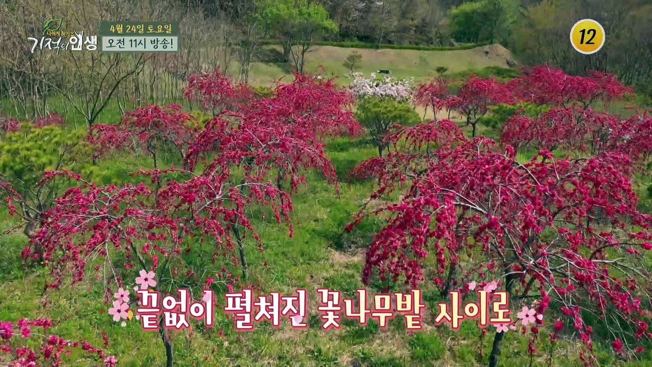 이번에는 몸 힐링?_기적의 인생 47회 예고 TV CHOSUN 210424 방송