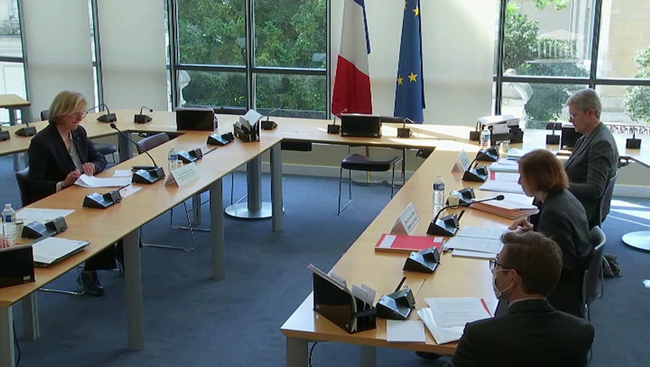 Commission de la défense : Mme Florence Parly, ministre des Armées et Mme Geneviève Darrieussecq, secrétaire d'État - Lundi 11 mai 2020