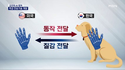 [김주하 AI 뉴스] 미국에서 한국에 있는 강아지 촉감 느낀다