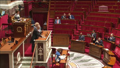 3ème séance : Instauration d’une garantie salaire-formation au service de la transition écologique et sociale de l’économie (suite) ; Accès aux masques gratuit (proposition de résolution) - Jeudi 18 juin 2020