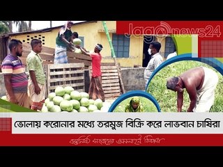 ভোলায় করোনার মধ্যে তরমুজ বিক্রি করে লাভবান চাষিরা | Jagonews24.com