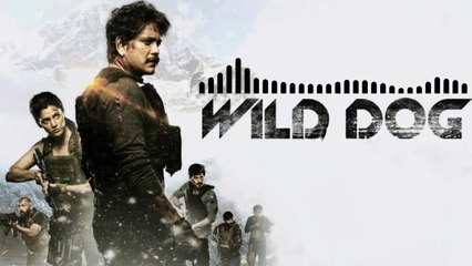 WILD DOG NEW MOVIE 2021 BGM RINGTONE MUSIC