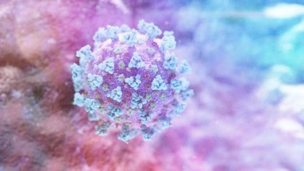 Third Mutant: new immune escape Covid variant has been found