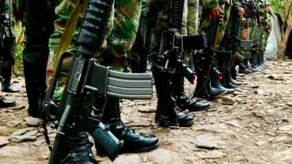 Download Video: Enfrentamientos entre disidencias de las Farc y ejército venezolano dejan varios muertos