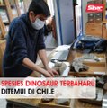 Spesies dinosaur terbaharu ditemui di Chile