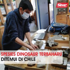 Spesies dinosaur terbaharu ditemui di Chile