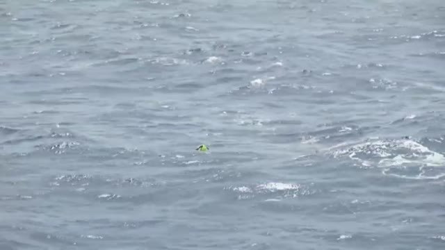 Trágico naufragio de inmigrantes frente a las costas de Libia