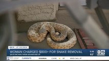 LJK: Woman charged $800  for snake removal